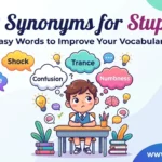 synonyms for stupor