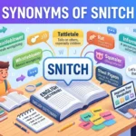 synonyms of snitch